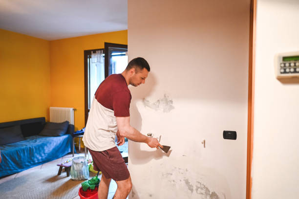 Best Professional Mold Removal  in Lewistown, IL