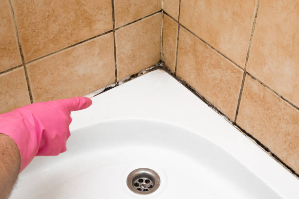 Best Emergency Mold Removal  in Lewistown, IL